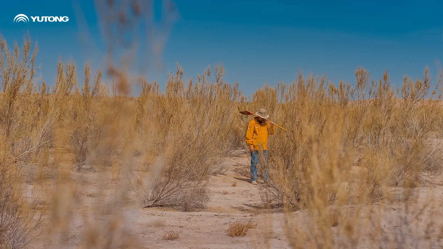 Yutong pone en marcha el programa «Net Zero Forest» para 2026: llevando 44.218 árboles a Gansu en la primera fase Yutong pone en marcha el programa «Net Zero Forest» para 2026: llevando 44.218 árboles a Gansu en la primera fase