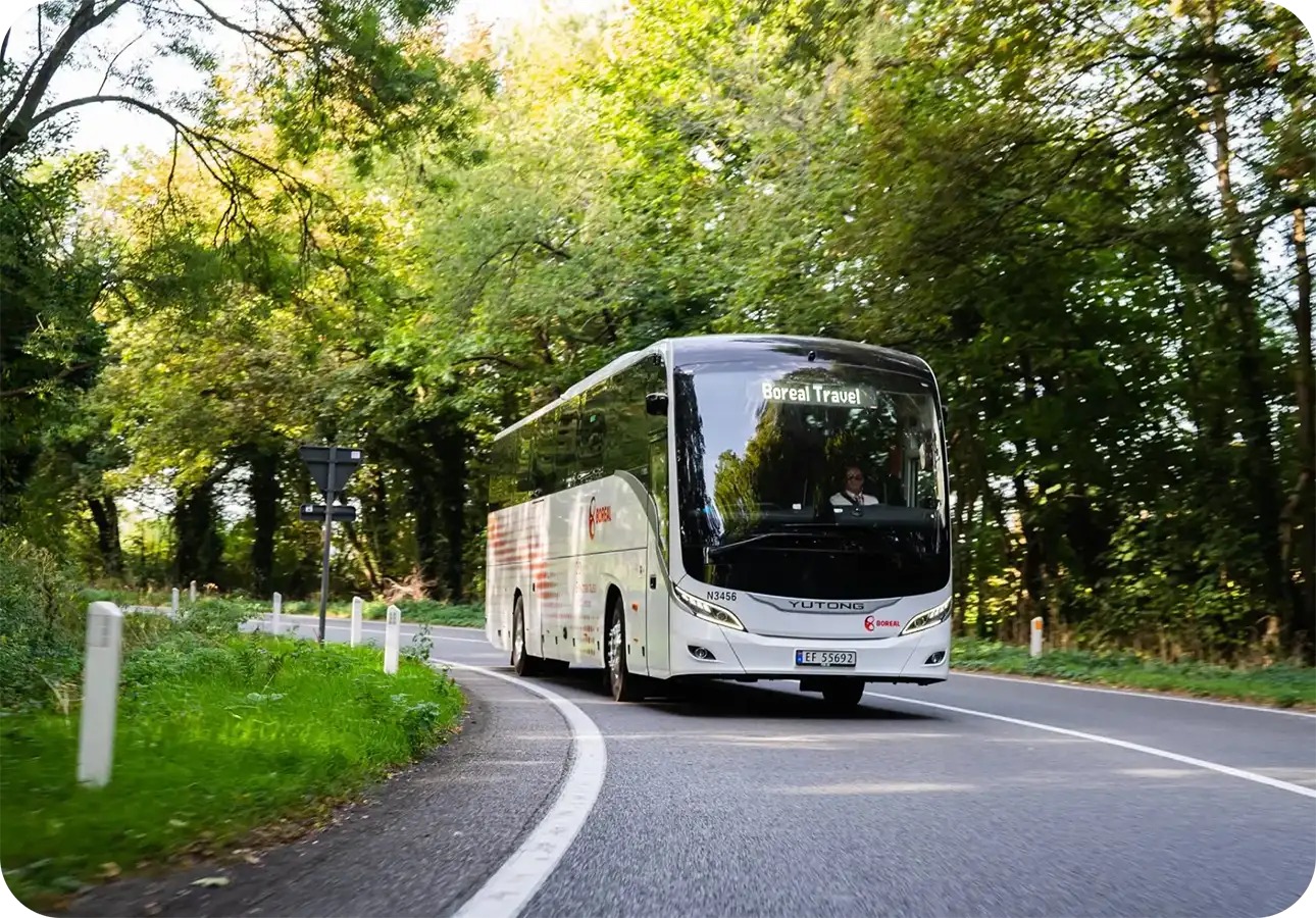 Autobuses eléctricos sin miedo al frío extremo